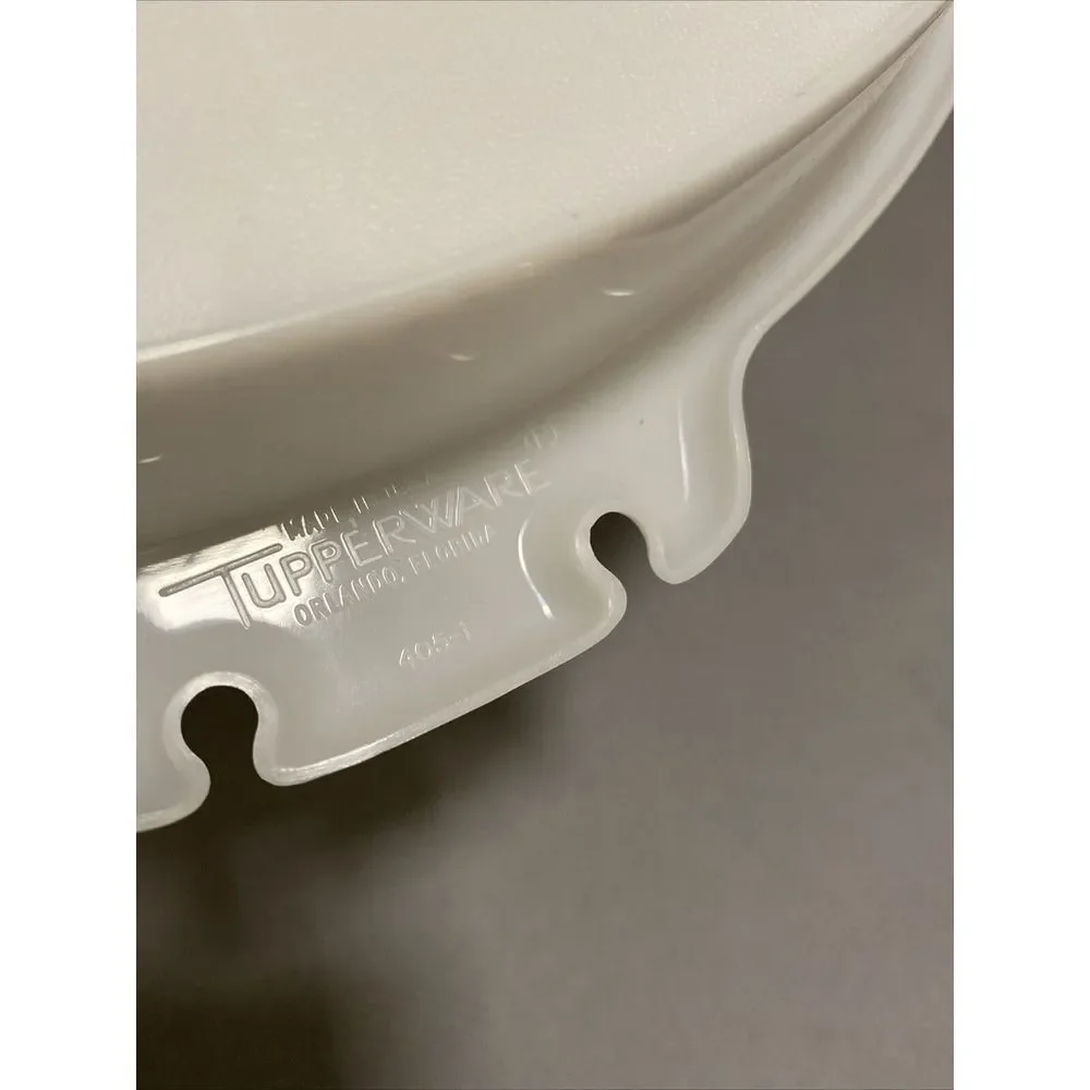 Vintage Tupperware‎ Round Divided Serving Tray With Lid 405-1 And Carolier CLEAN
